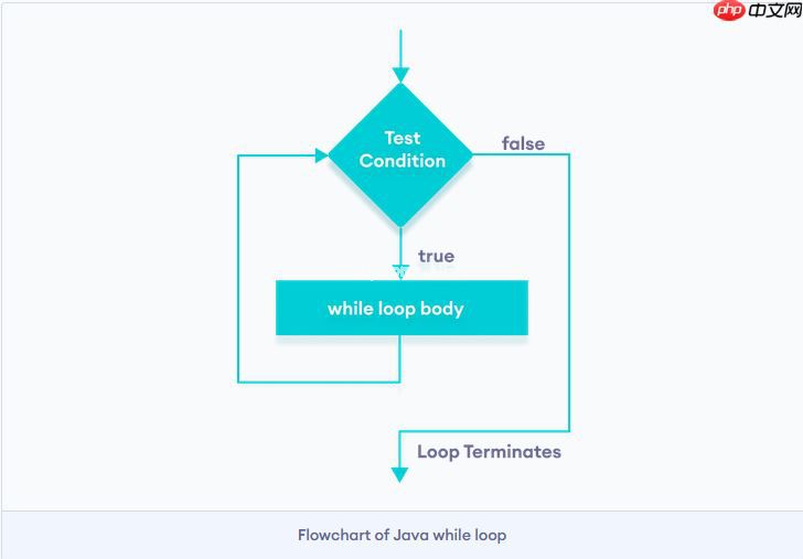 java While 循环语句