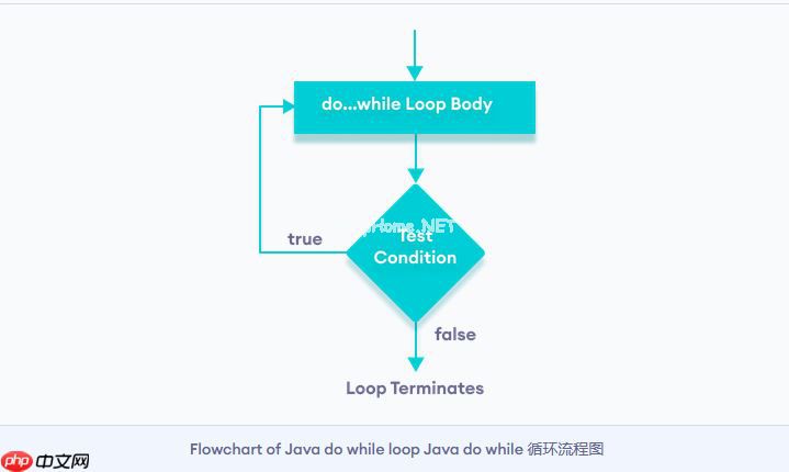 java Do/While 循环语句