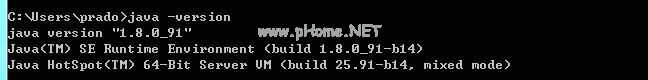 java-win9.png